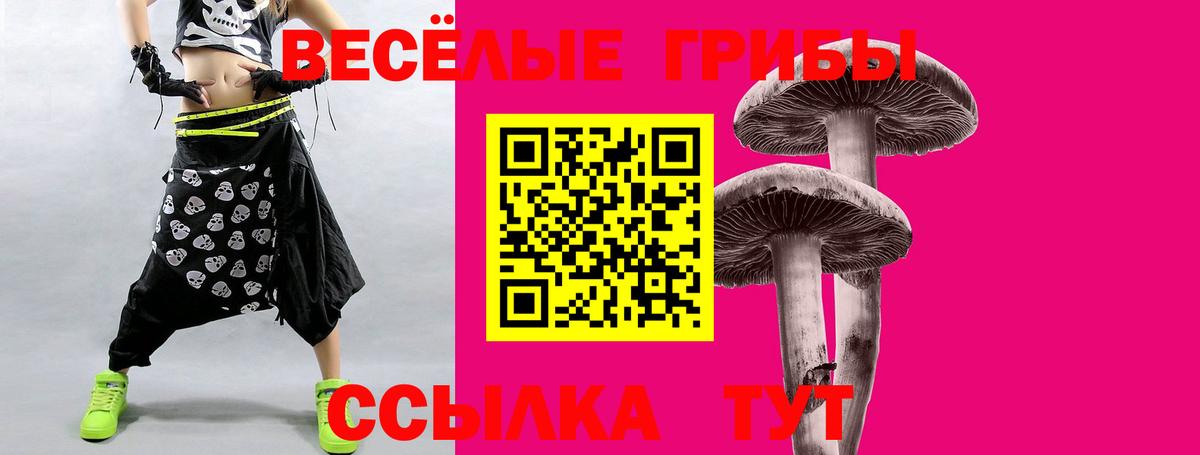Октябрьский  Галлюциногенные грибы мицелий  Вход с VPN  цены   Псилоцибиновые грибы GOLDEN TEACHER 